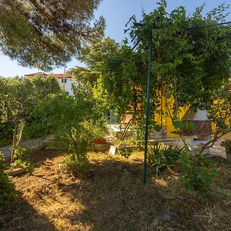 House Bojan