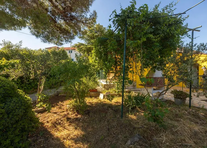 House Bojan