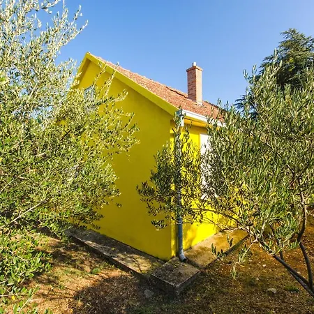 House Bojan